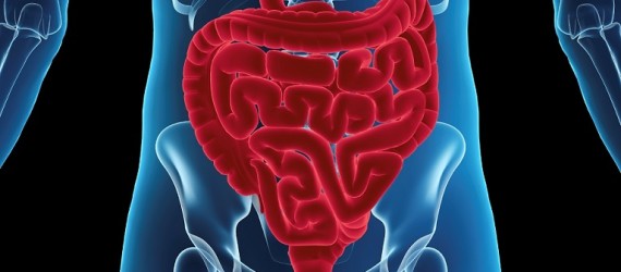 Colon cancer screening